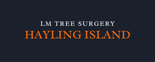 LM Tree Surgery Hayling Island